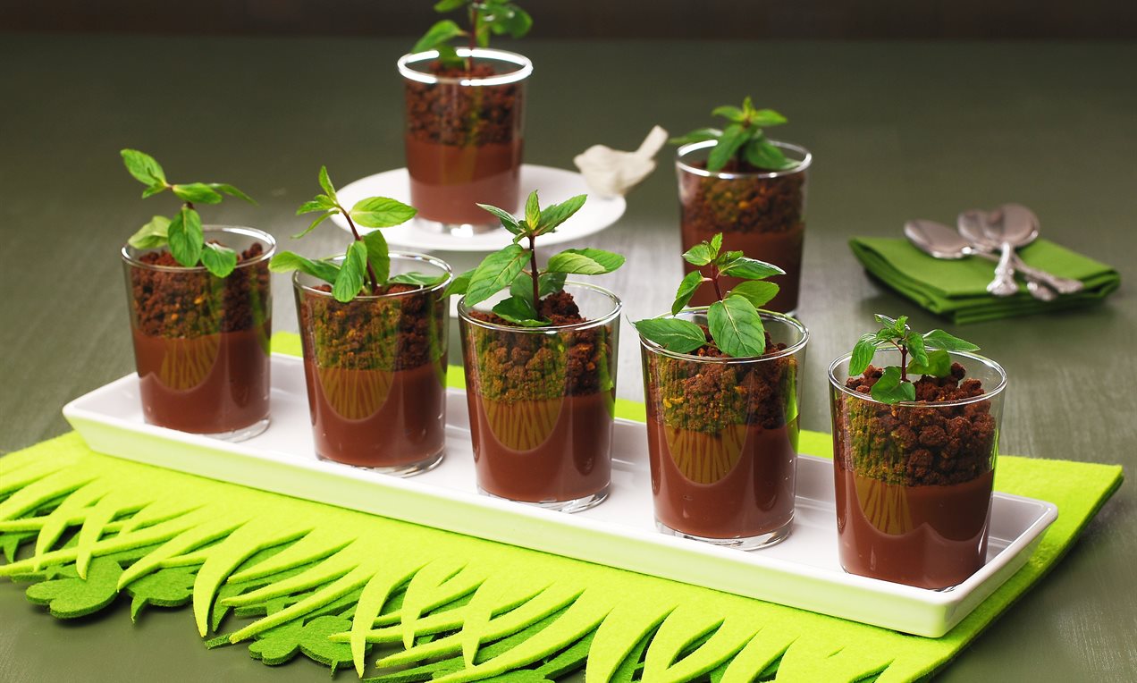 Saksıda Kakaolu Puding