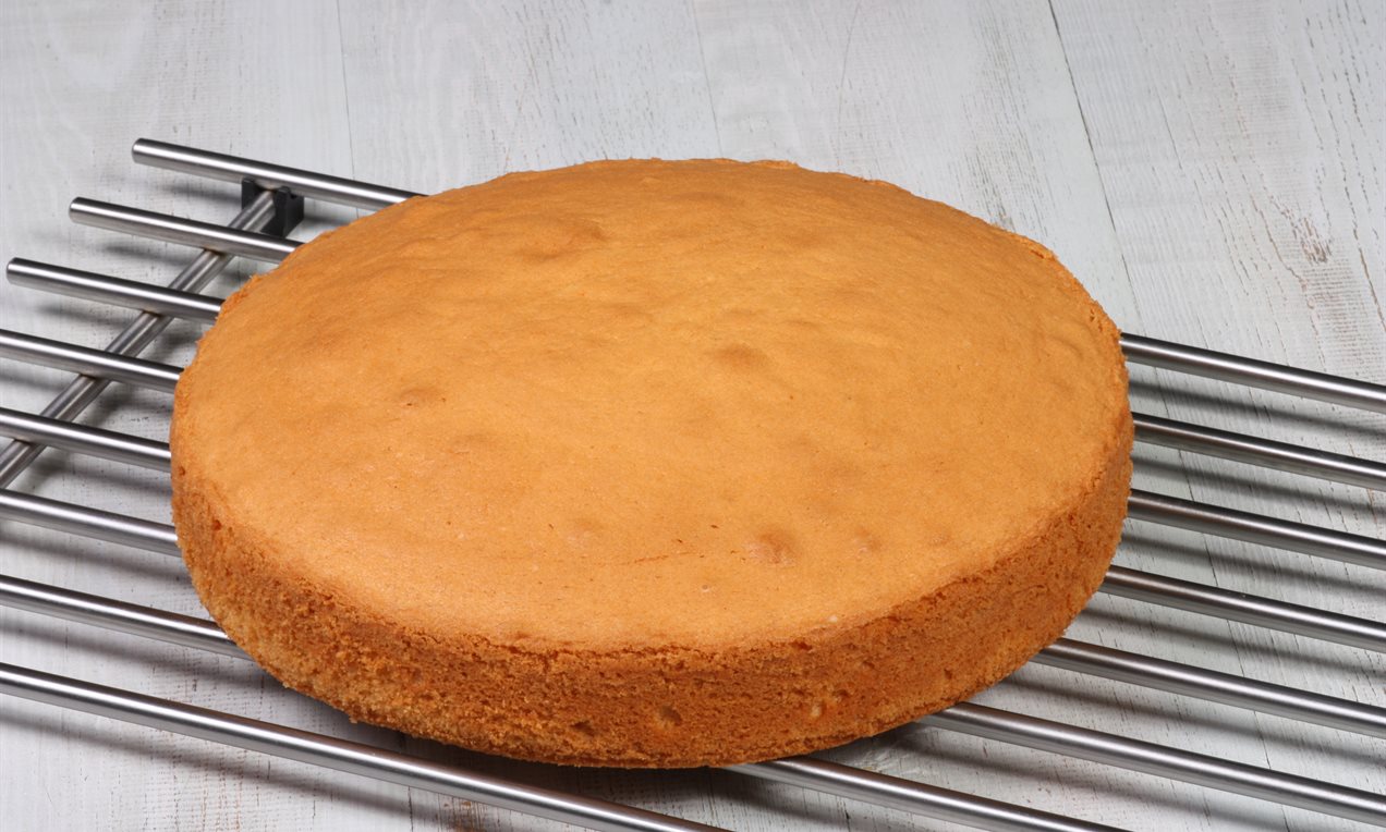 Temel Kek 26 cm